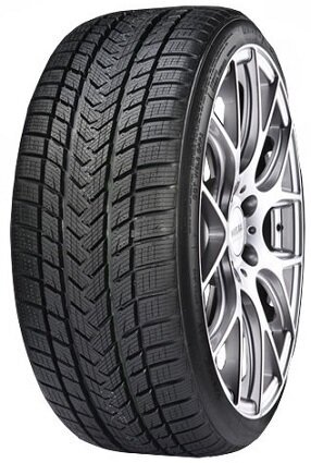 Gripmax STATUS PRO WINTER 245/35R21 96 V XL цена и информация | Žieminės padangos | pigu.lt