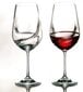 Bohemia vyno taurės Turbulenc, 2 vnt. kaina ir informacija | Taurės, puodeliai, ąsočiai | pigu.lt