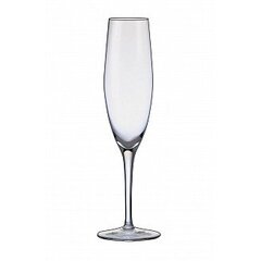 Bohemia бокалы для шампанского Amoroso, 2 шт. цена и информация | Стаканы, фужеры, кувшины | pigu.lt