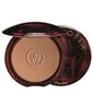 Bronzantas Guerlain Terracotta 10 g kaina ir informacija | Bronzantai, skaistalai | pigu.lt