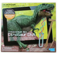 Kūrybinis rinkinys 4M Dinosaur DNA Tyrannosaurs kaina ir informacija | Lavinamieji žaislai | pigu.lt