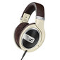 Sennheiser HD 599 kaina ir informacija | Ausinės | pigu.lt