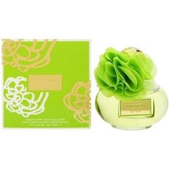 Coach Poppy Citrine Blossom EDP 100ml цена и информация | Женские духи | pigu.lt