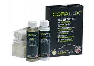 CAROLUX комплект для чистки кожаного салона автомобиля   цена и информация | Автохимия | pigu.lt