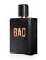 Tualetinis vanduo Diesel Bad EDT vyrams 125 ml цена и информация | Kvepalai vyrams | pigu.lt