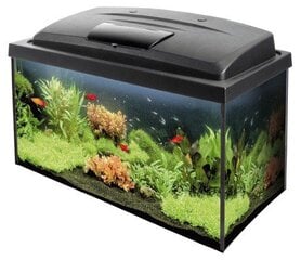 Aqua Szut akvariumo rinkinys Aqua4Family 80 kaina ir informacija | Akvariumai ir jų įranga | pigu.lt