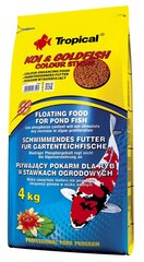 Maistas tvenkinių žuvims Tropical Koi & Goldfish Color Sticks, 4 kg kaina ir informacija | Maistas žuvims | pigu.lt