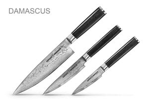 Комплект ножей Samura DAMASCUS, 3 шт. цена и информация | Ножи и аксессуары для них | pigu.lt