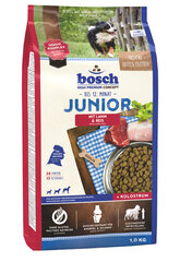 Сухой корм Bosch Petfood Junior Lamb & Rice (High Premium) 1kg цена и информация |  Сухой корм для собак | pigu.lt