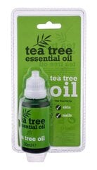 Чистое масло чайного дерева Xpel Tea Tree 100% Pure Tea Tree, 30 мл цена и информация | Эфирные, косметические масла, гидролаты | pigu.lt