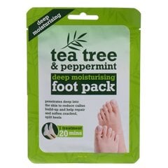 Giliai drėkinanti pėdų kaukė-kojinės Xpel Tea Tree & Peppermint kaina ir informacija | Kūno kremai, losjonai | pigu.lt