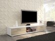 TV staliukas Sella, baltos/ąžuolo spalvos kaina ir informacija | TV staliukai | pigu.lt