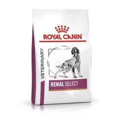 Royal Canine turintiems problemų su inkstais šunims Renal Select Canine, 2 kg kaina ir informacija | Royal Canin Gyvūnų prekės | pigu.lt