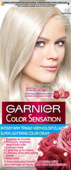 Ilgalaikiai plaukų dažai Garnier Color Sensation 110 ml, S9 Silver Ash Blond kaina ir informacija | Garnier Kvepalai, kosmetika | pigu.lt