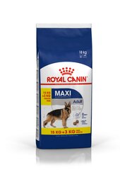 Royal Canin Shn dideliems šunims su paukštiena, 18 kg цена и информация | Сухой корм для собак | pigu.lt
