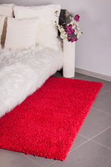 Kilimas Shaggy Red, 80 x 150 cm kaina ir informacija | Kilimai | pigu.lt