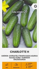 Огурцы CHARLOTTE H цена и информация | Семена овощей, ягод | pigu.lt