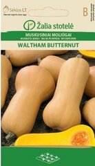 Тыква мускатная WALTHAM BUTTERNUT цена и информация | Семена овощей, ягод | pigu.lt