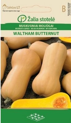Moliūgai Muskusiniai Waltham Butternut kaina ir informacija | Daržovių, uogų sėklos | pigu.lt