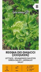 Салат REGINA DEI GHIACCI цена и информация | Семена овощей, ягод | pigu.lt