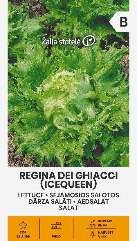 Salotos Sėjamosios Regina Dei Ghiacci kaina ir informacija | Daržovių, uogų sėklos | pigu.lt