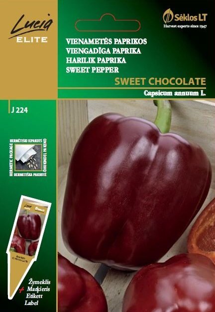 Paprikos vienmetės SWEET CHOCOLATE kaina ir informacija | Daržovių, uogų sėklos | pigu.lt