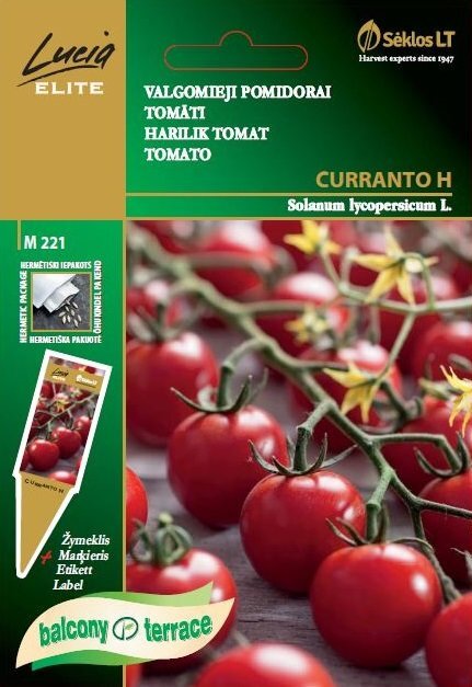 Pomidorai valgomieji CURRANTO H цена и информация | Daržovių, uogų sėklos | pigu.lt