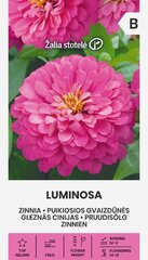 Цинния георгиновидная LUMINOSA цена и информация | Семена цветов | pigu.lt