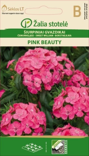 Šiurpiniai gvazdikai Žalia stotelė Pink Beauty kaina ir informacija | Gėlių sėklos | pigu.lt