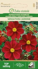 Космея SENSATION CARMINE цена и информация | Семена цветов | pigu.lt
