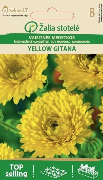 Vaistinės medetkos Yellow Gitana kaina ir informacija | Gėlių sėklos | pigu.lt