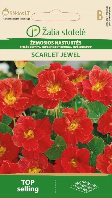 Žemosios nasturtės Žalia stotelė Scarlet Jewel цена и информация | Gėlių sėklos | pigu.lt