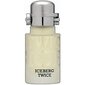 Tualetinis vanduo Iceberg Twice Men EDT vyrams 75 ml цена и информация | Kvepalai vyrams | pigu.lt