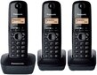 Panasonic KX-TG1613JTH, juodas цена и информация | Stacionarūs telefonai | pigu.lt