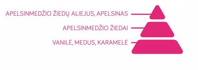 Namų kvapas su lazdelėms Apelsino Žiedų Aromatas Terre d'Oc 100 ml kaina ir informacija | Namų kvapai | pigu.lt