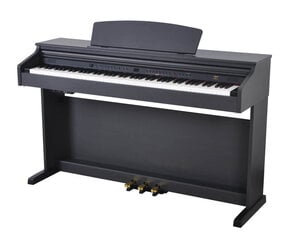 Skaitmeninis pianinas Artesia DP-3 kaina ir informacija | Klavišiniai muzikos instrumentai | pigu.lt