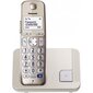 Panasonic KX-TGE210, sidabrinis цена и информация | Stacionarūs telefonai | pigu.lt