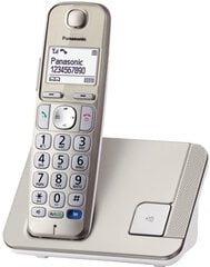 Panasonic KX-TGE210, sidabrinis kaina ir informacija | Stacionarūs telefonai | pigu.lt