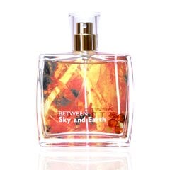 Kvapusis vanduo su tikru gintaru viduje Amber Strings Between Sky and Earth EDP vyrams 100 ml kaina ir informacija | Kvepalai vyrams | pigu.lt