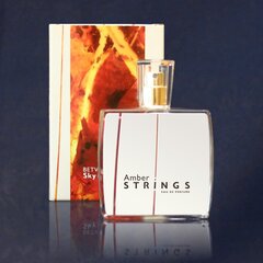 Парфюмированная вода с янтарем внутри Amber Strings Between Sky and Earth edp, 100 мл цена и информация | Мужские духи | pigu.lt