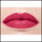Lūpų dažai Max Factor Velvet Matte Lipstick No.25 Blush, 4g kaina ir informacija | Lūpų dažai, blizgiai, balzamai, vazelinai | pigu.lt