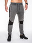 Vyriškos sportinės kelnės Ombre P425 XXL kaina ir informacija | Sportinė apranga vyrams | pigu.lt