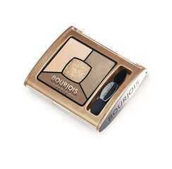 Akių šešėliai Bourjois Smoky Stories 3.2 g, 13 Taupissime kaina ir informacija | Bourjois Kvepalai, kosmetika | pigu.lt