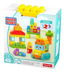 Кубики MEGA BLOKS автобус, 45 эл., FBM80 цена и информация | Конструкторы и кубики | pigu.lt