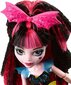 Lėlė Monster High Drakulaura, Silvi, Ari „Įsielektrink“, DVH65, 1 vnt. kaina ir informacija | Žaislai mergaitėms | pigu.lt