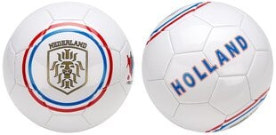 Futbolo kamuolys Avento Euro Triumph, baltas/mėlynas kaina ir informacija | Futbolo kamuoliai | pigu.lt