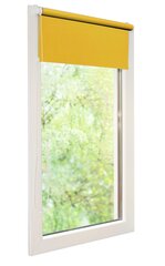 Рулонные шторы Mini I, 100x150 cм цена и информация | Рулонные шторы | pigu.lt