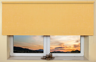 Sieninis / lubų roletas 120x170 cm, 2057 Geltona kaina ir informacija | Roletai | pigu.lt