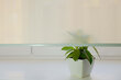 Sieninis roletas su audiniu Dekor 130x170 cm, d-12 žalia kaina ir informacija | Roletai | pigu.lt
