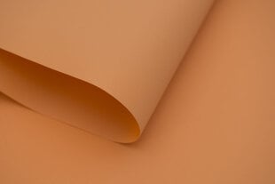 Sieninis roletas su audiniu Dekor 170x170 cm, d-05 oranžinė kaina ir informacija | Roletai | pigu.lt